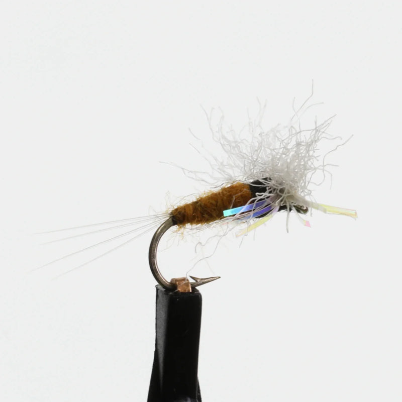 Angel Wing Spinner Tan