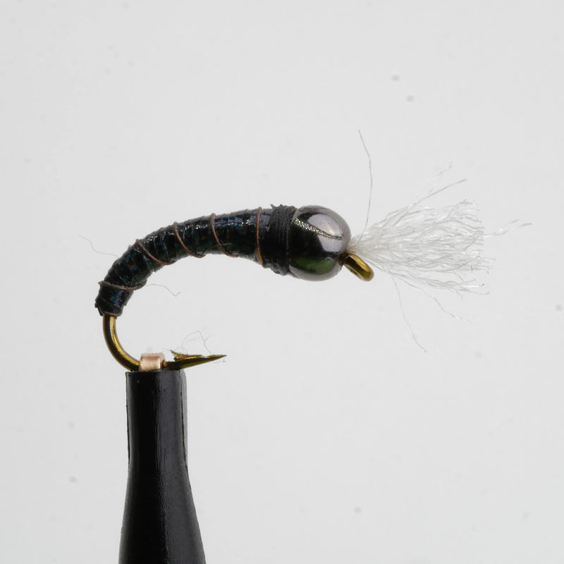 Black Holographic Natural