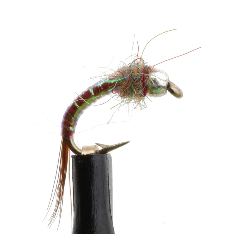 Rainbow Warrior Pearl