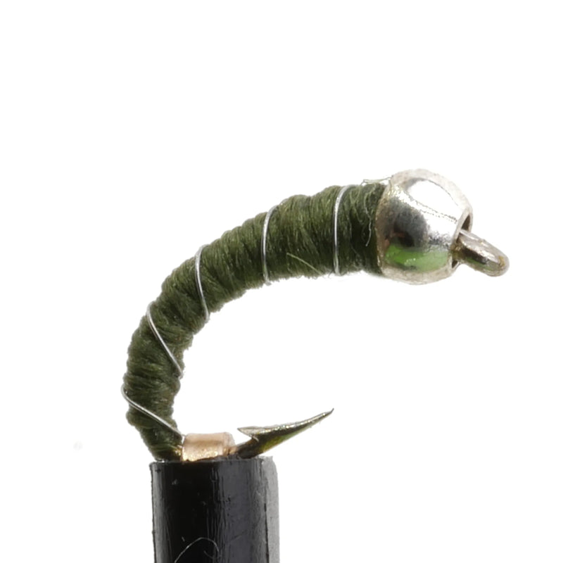 Zebra Midge Olive