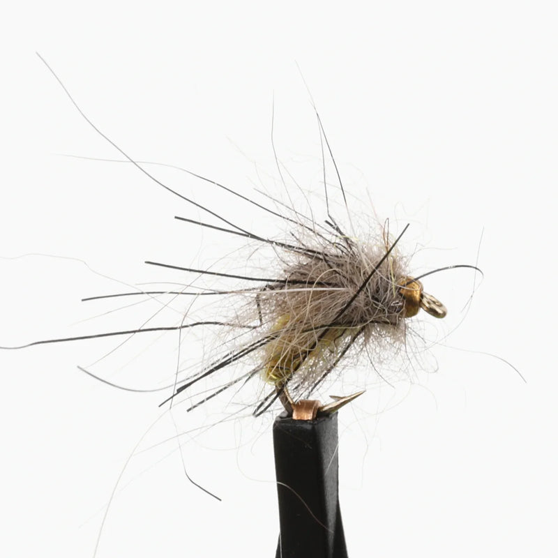 BeadHead Caddis Larva Hydropsyche Orange