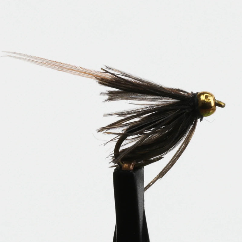 BeadHead Caddis Pupa Brown