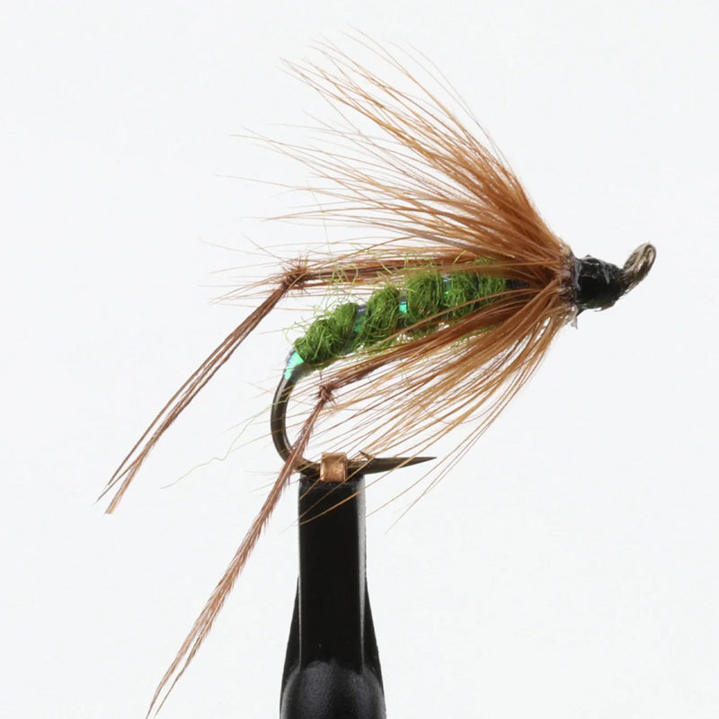 Bristol Hopper Green