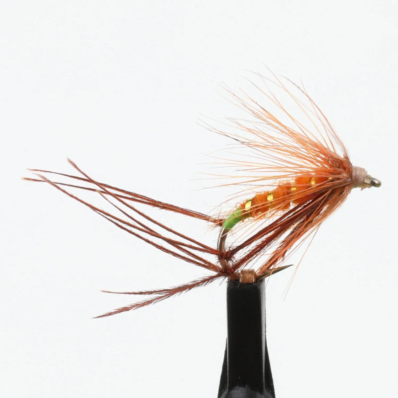 Bristol Hopper Orange