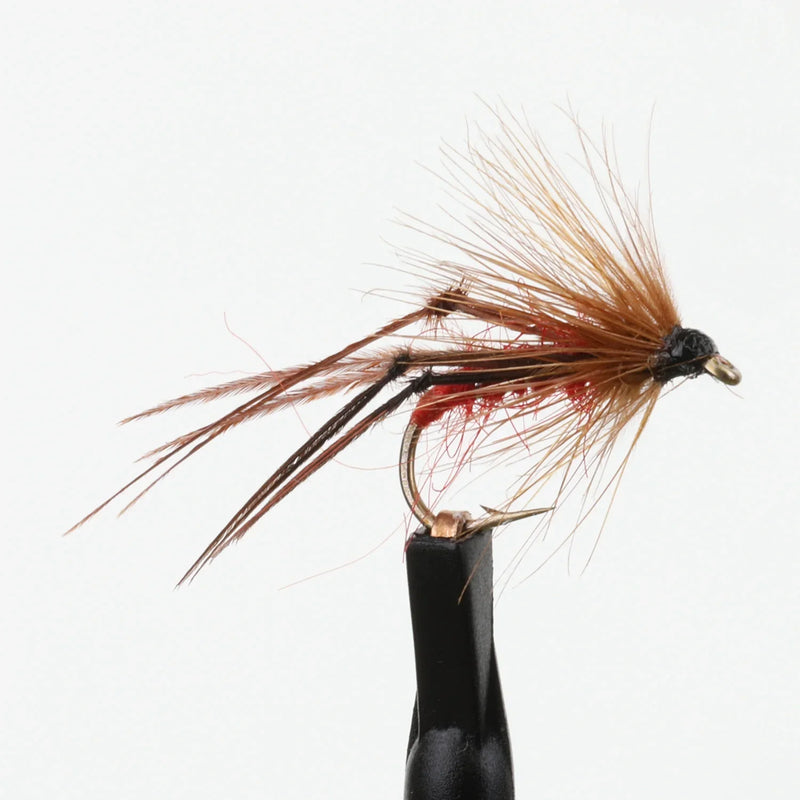 Bristol Hopper Red