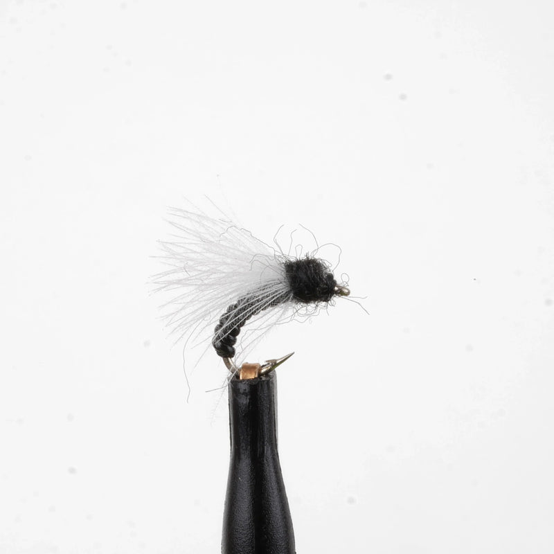 CDC Trico Emerger