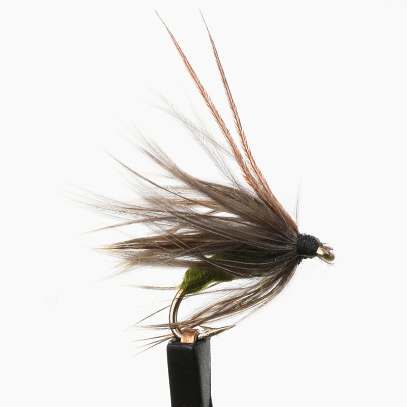 Caddis Pupa Olive