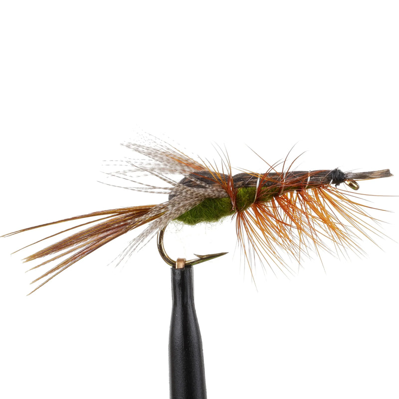 Clouser Cray Olive