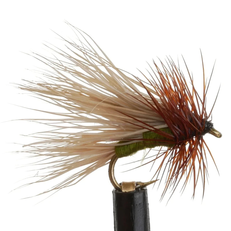 October Hi-Ti Caddis Olive
