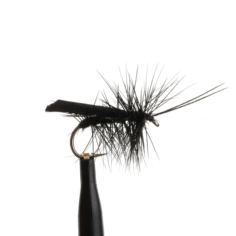 Tent-Wing Caddis Black