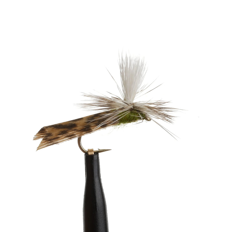 Caddis Para Olive