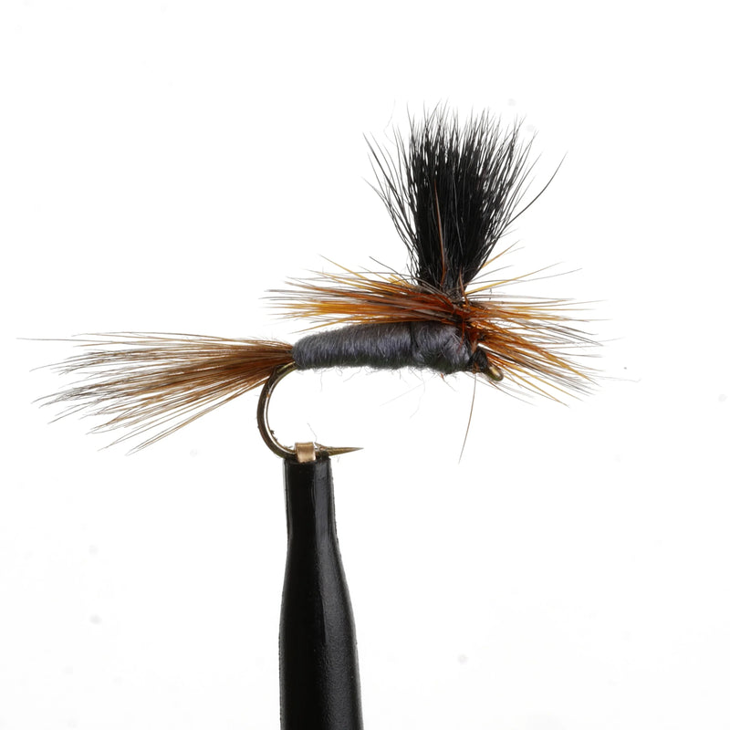 Adams Para Black Post Natural