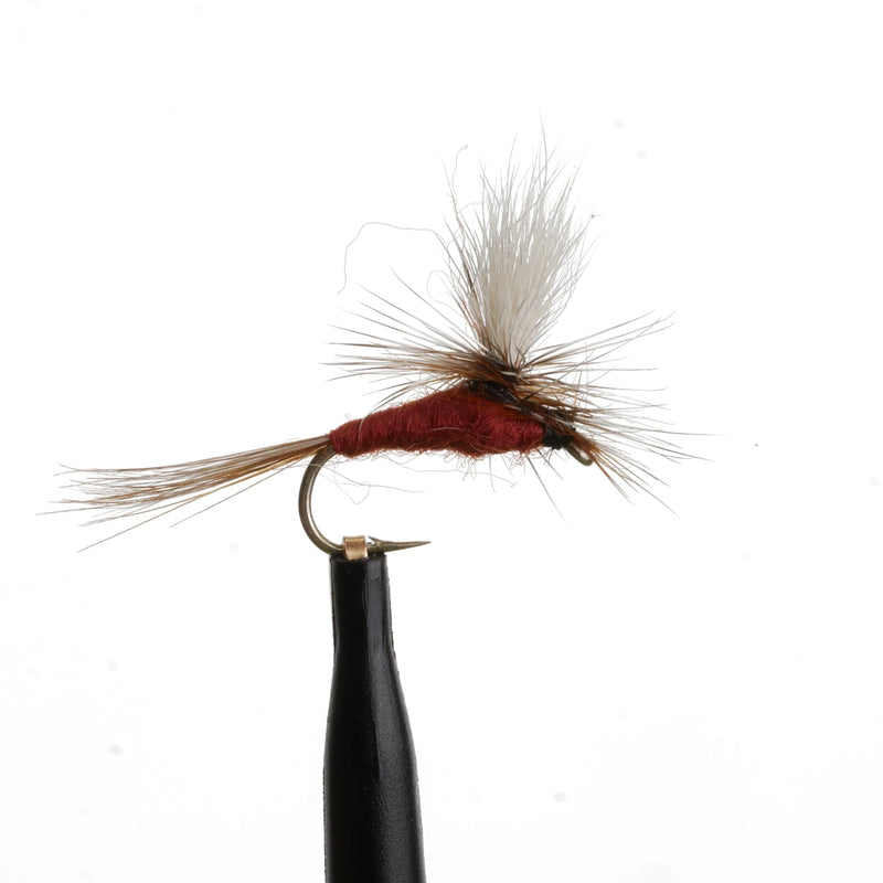 Adams Para Rust Natural