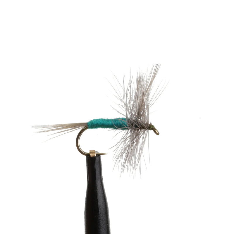 BWO Neon Natural