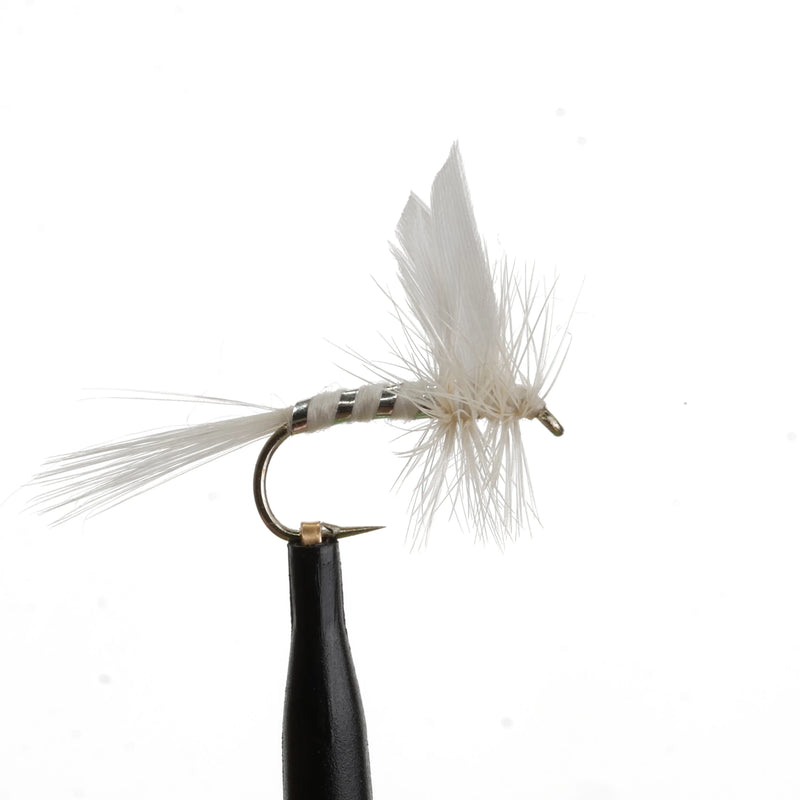 White Miller Natural