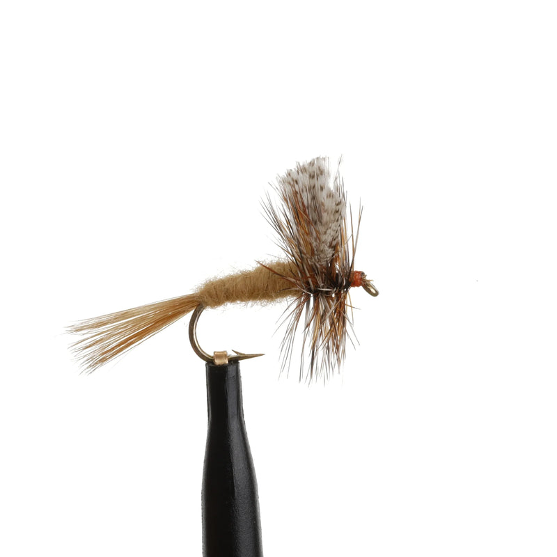 Catskill March Brown Natural