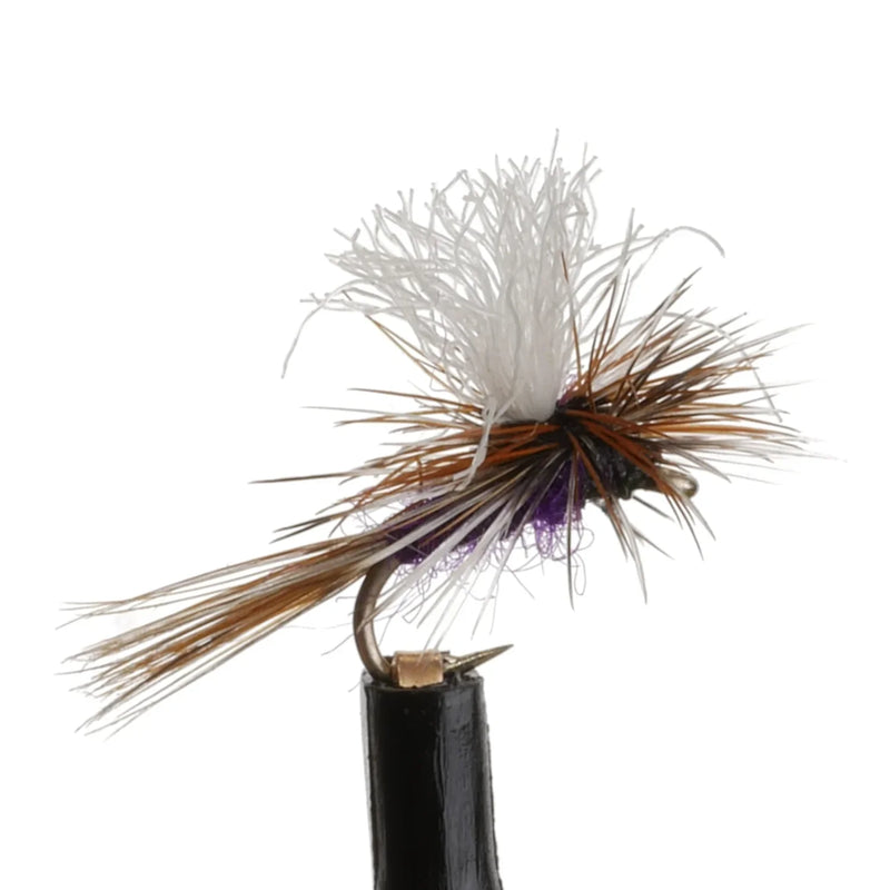 Adams Purple Poly Para Natural