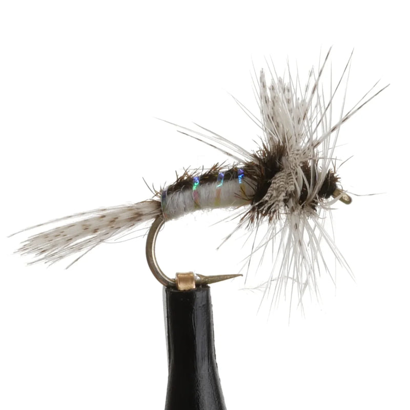 Caenis Flashback Natural