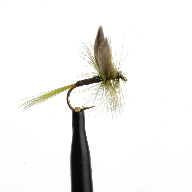 Olive Quill Natural