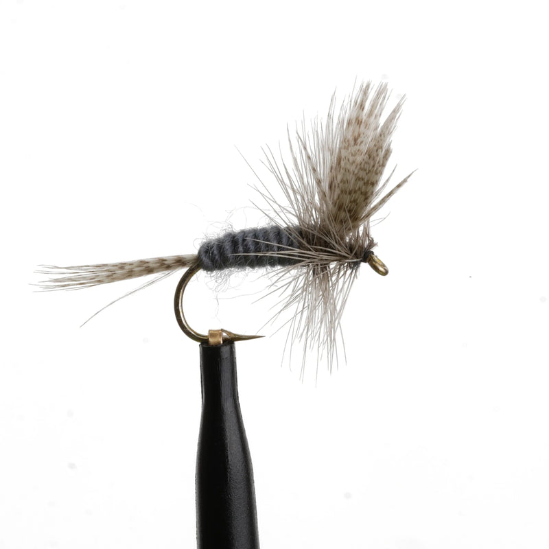 Blue Dun Quill Body Natural