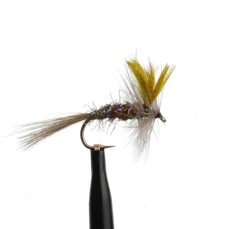 Rainbow RoxStar Natural