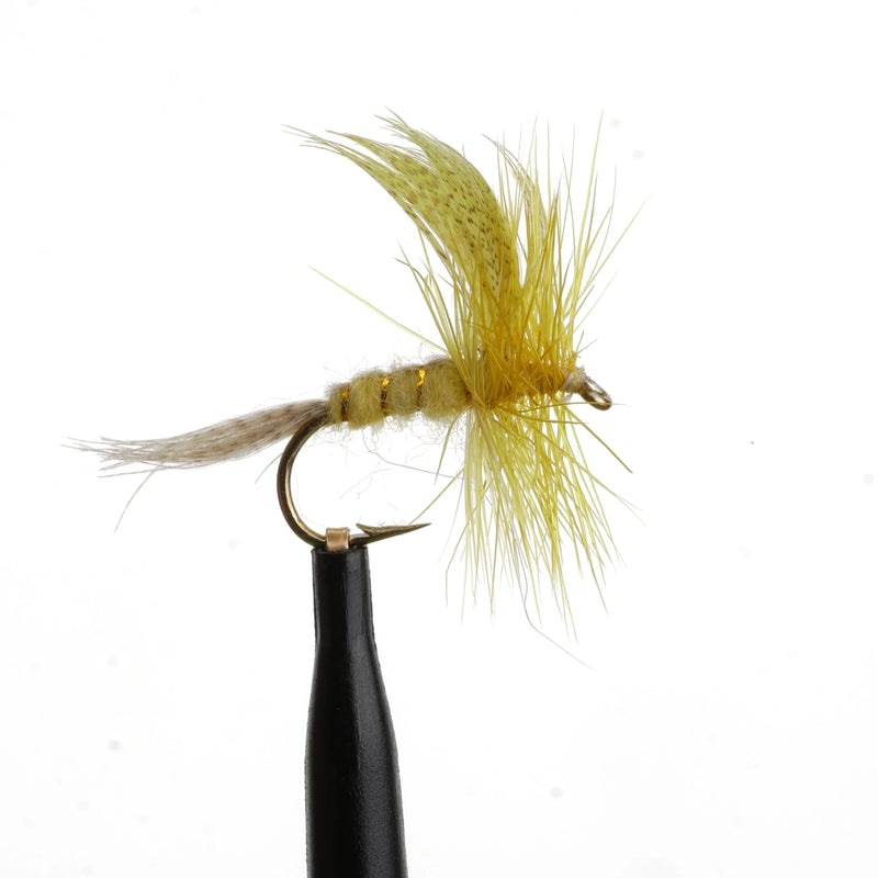 Big Yellow Mayfly Natural