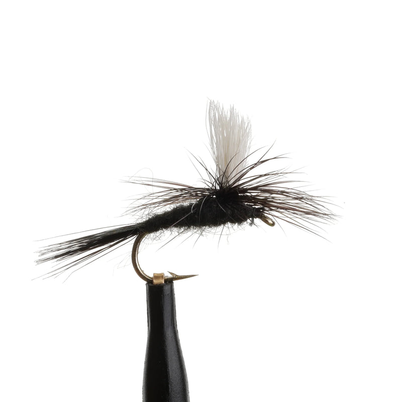 Black Gnat Para Natural