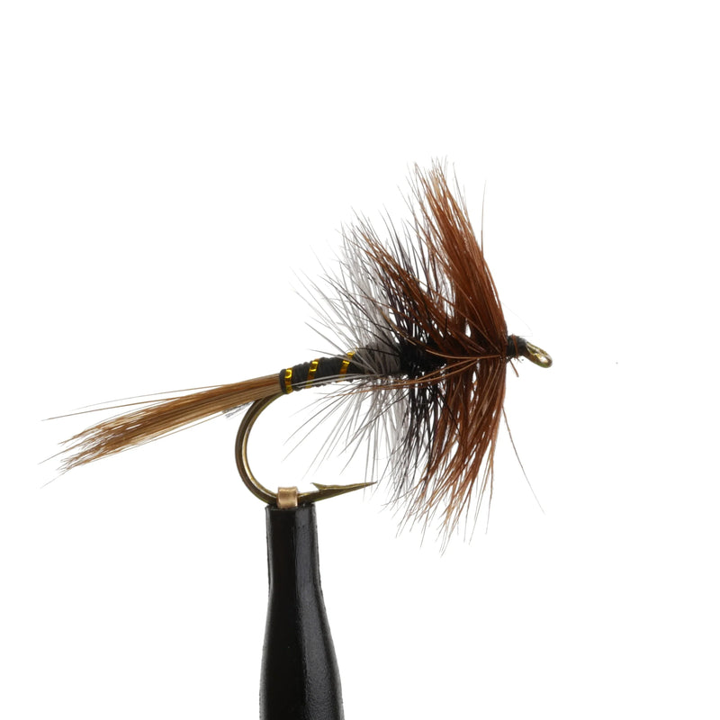 Bi-Visible Brown Natural