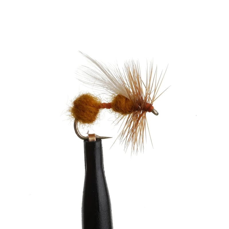 Flying Cinnamon Ant Natural