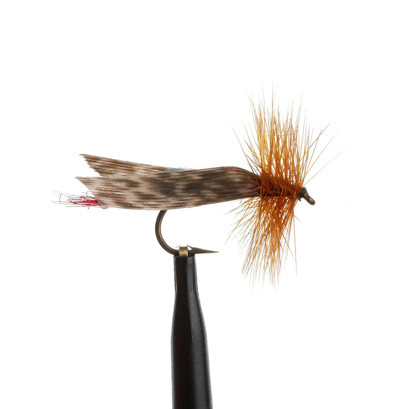 Joes Foam Hopper Blue