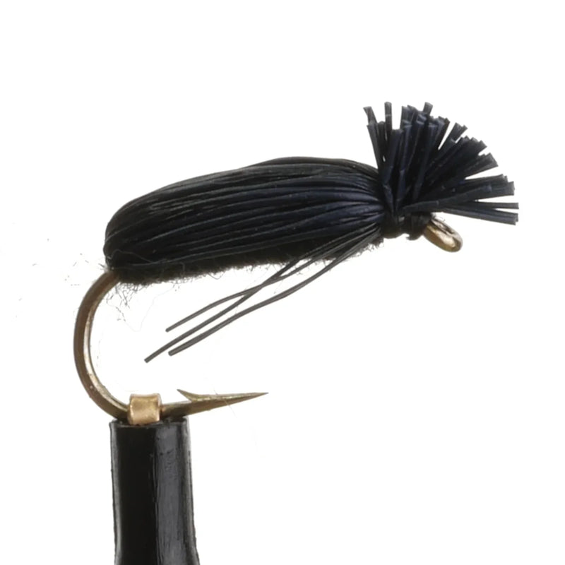 Crowe Beetle Natural