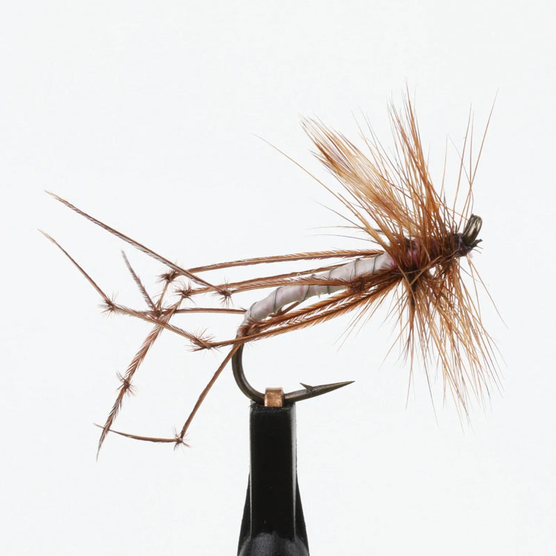 Daddy Long Legs Dark Brown