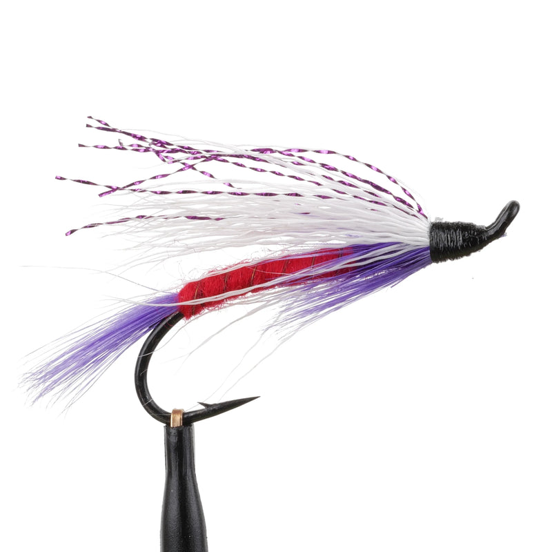 Freight Train Purple