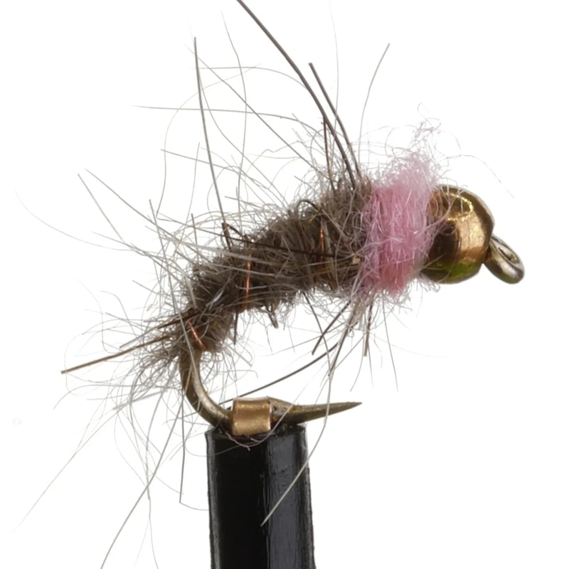 Pink Squirrel Natural