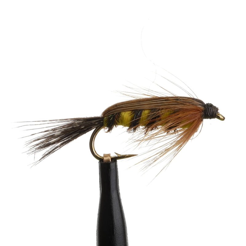 Tellico Nymph Natural
