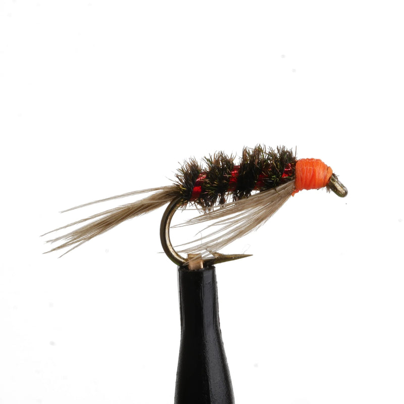 Diawl bach Hot Head Natural