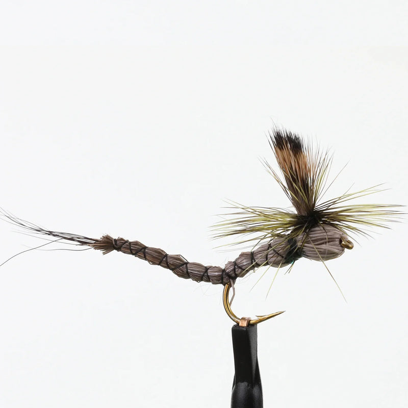 Paradrake Extended Body Natural