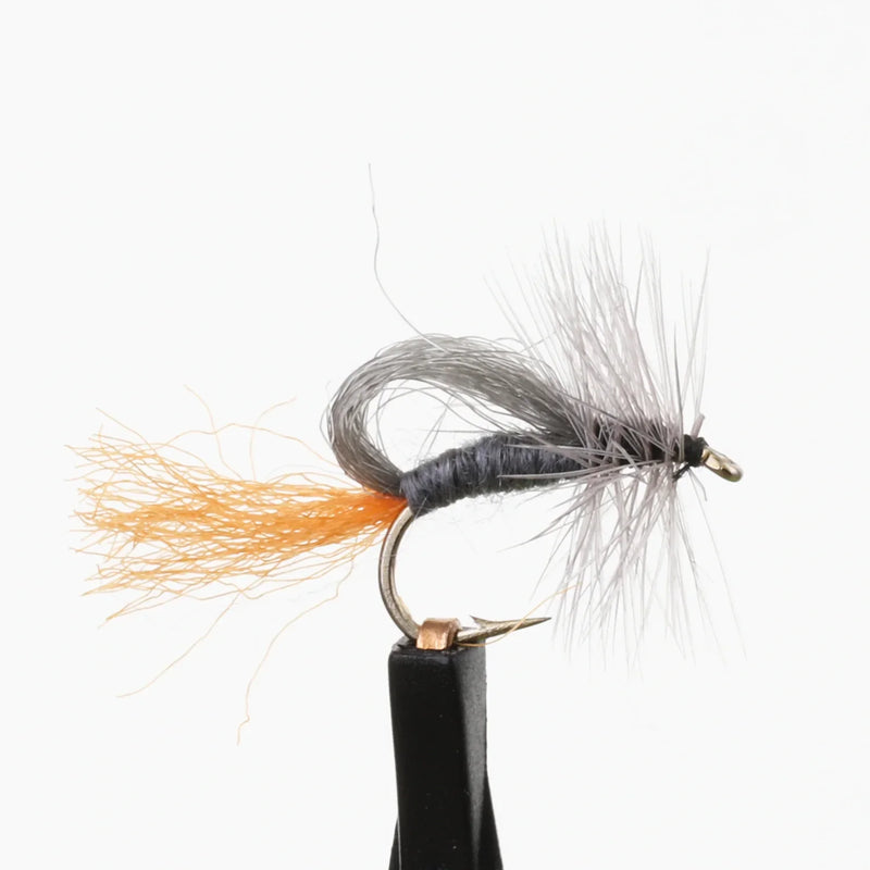 Roy's Special Emerger