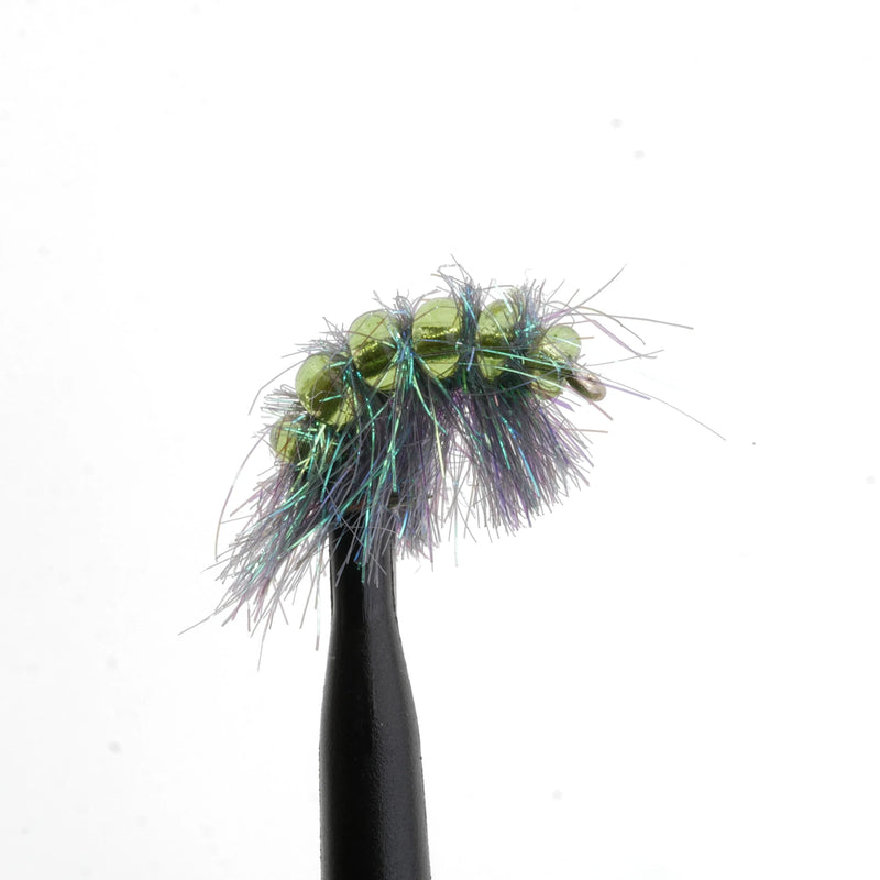 Bead-Back Scud Peacock