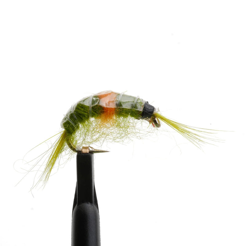 Olive Scud Orange Hotspot Natural