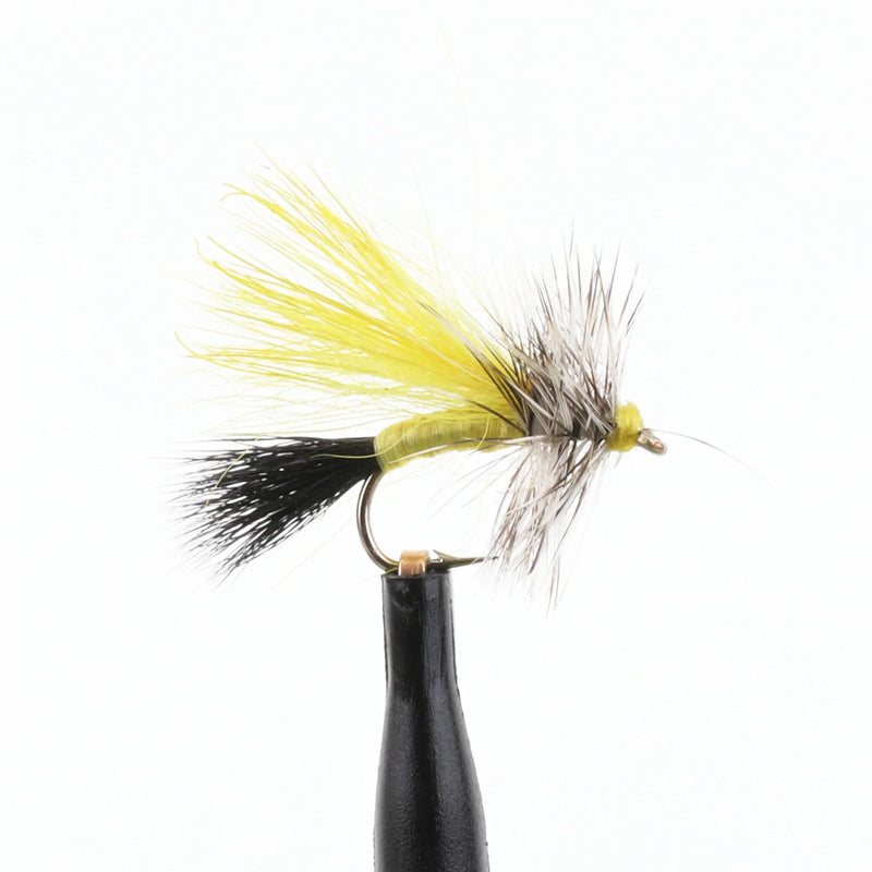 Little Yellow Stonefly