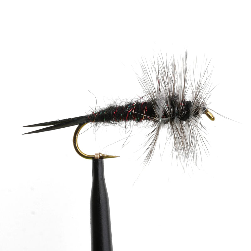 Brooks Stonefly Black
