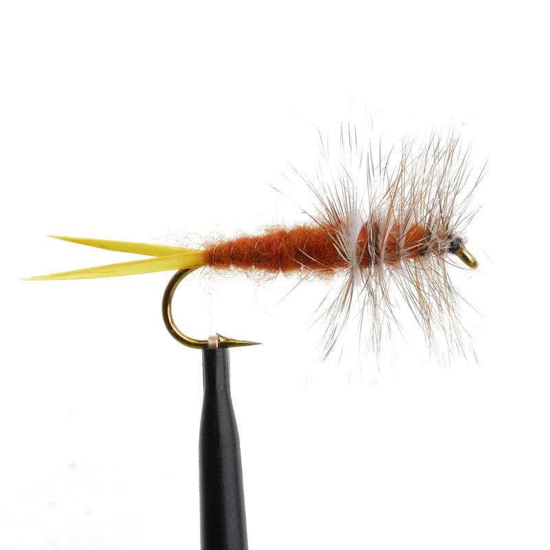 Brooks Stonefly Golden