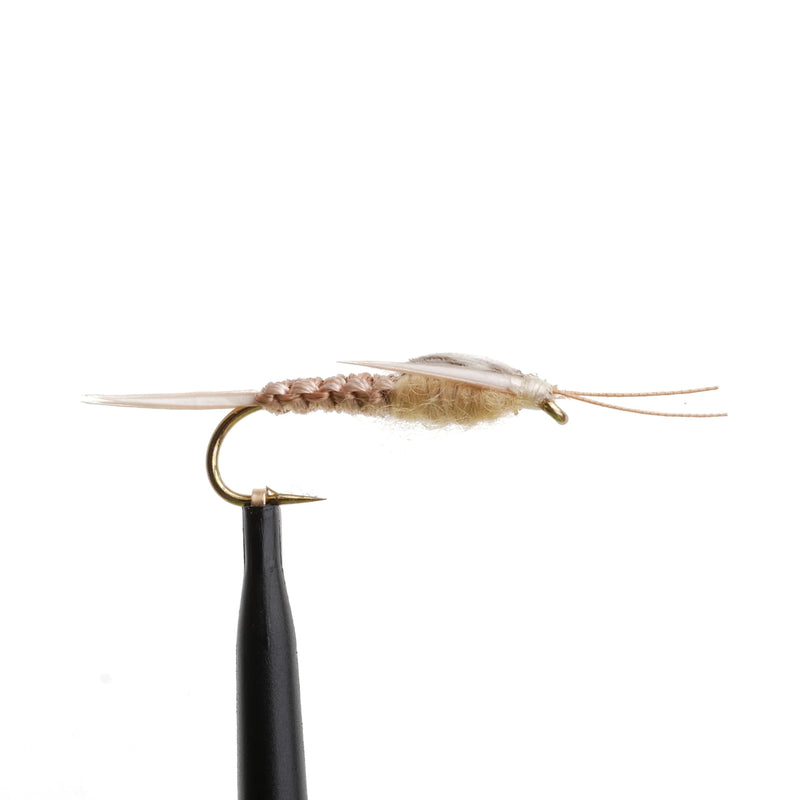 Woven Stonefly Tan