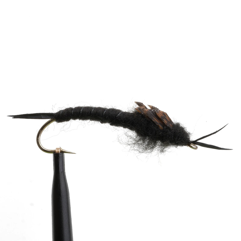 Kaufmann's Stonefly Black
