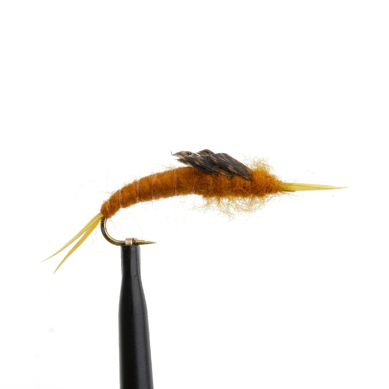 Kaufmann's Stonefly Golden