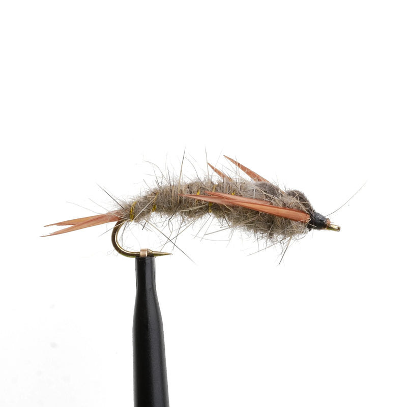 Kaufmann's Stonefly Hares Ear
