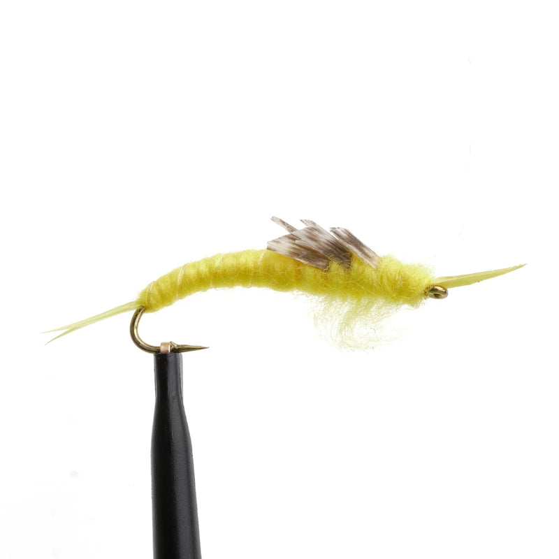 Kaufmann's Stonefly Yellow