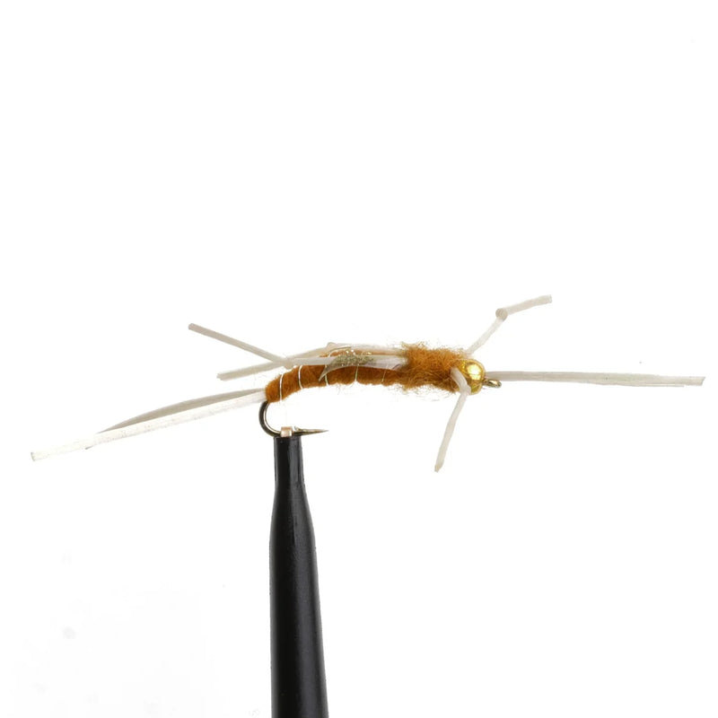 Stepchild Stonefly Golden