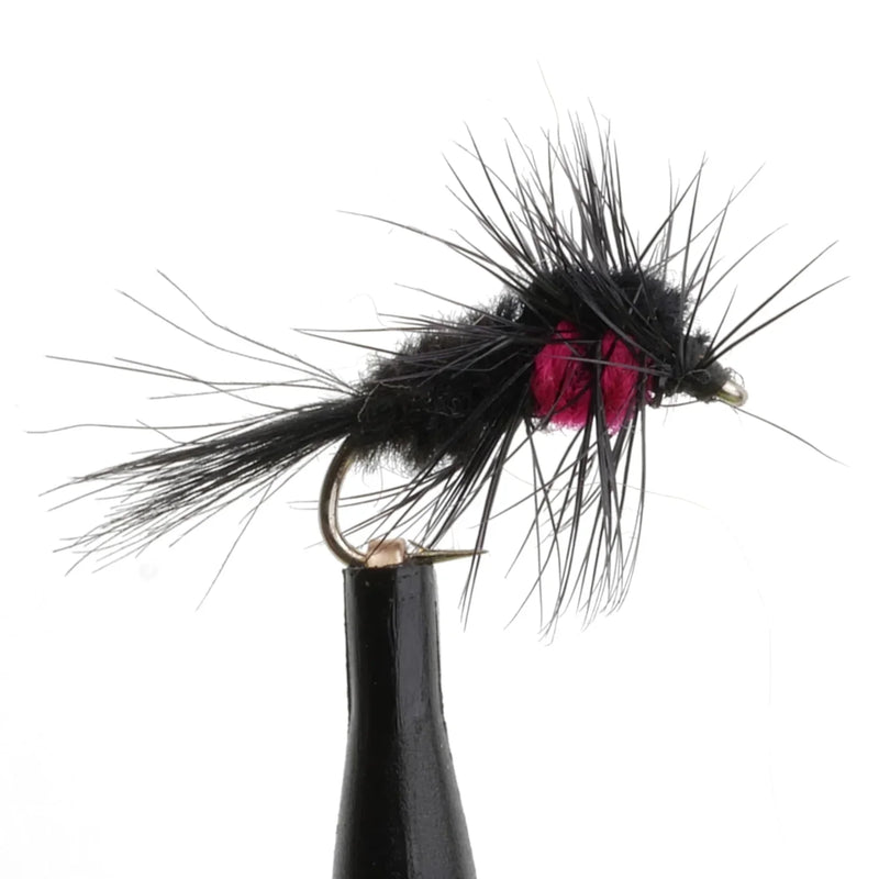 Montana Stonefly Red